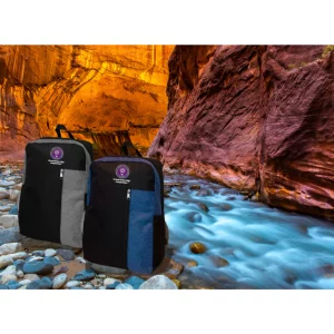Xclusive Bag - Virtual Innovation Competition